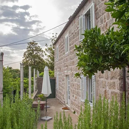 Maro & Baro - With Shared Terrace Baro *